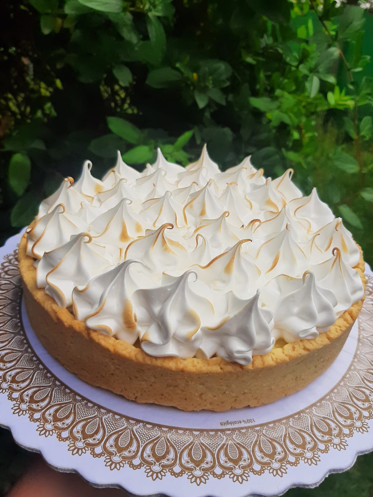Orange Pie